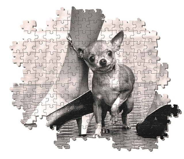 Produktbilde 3 for Puslespill Chihuaua 1000 brikker, Clementoni