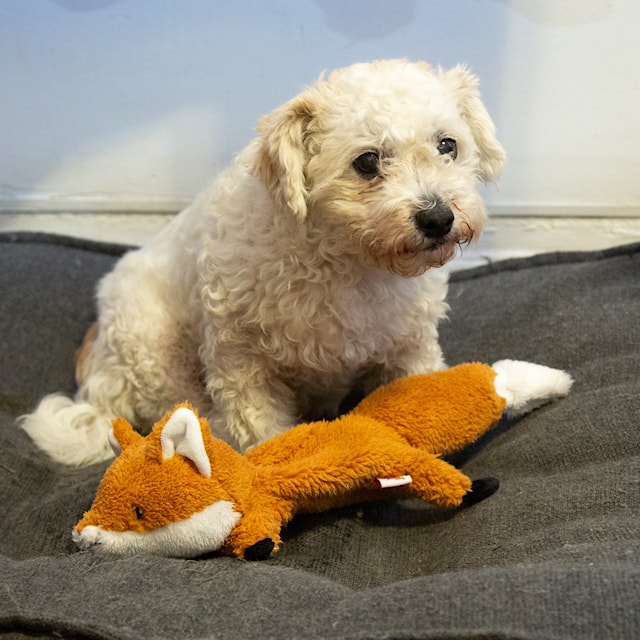 Produktbilde 1 for Kobe Flying Fox Toy Kikkerland