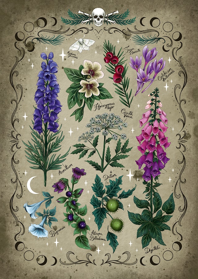 Produktbilde 2 for Pussel Toxic Plants 1000 bitar, Ravensburger