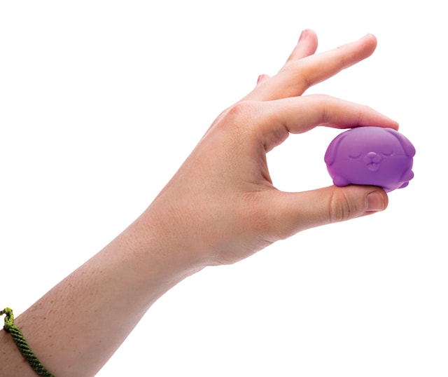 Produktbild 2 för Teenie Funky Pups 3-pack Needoh