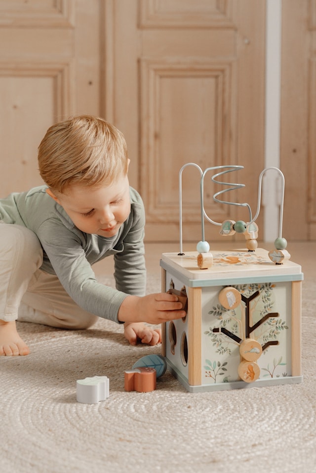 Produktbild 6 för Forest Friends Aktivitetskub Little Dutch