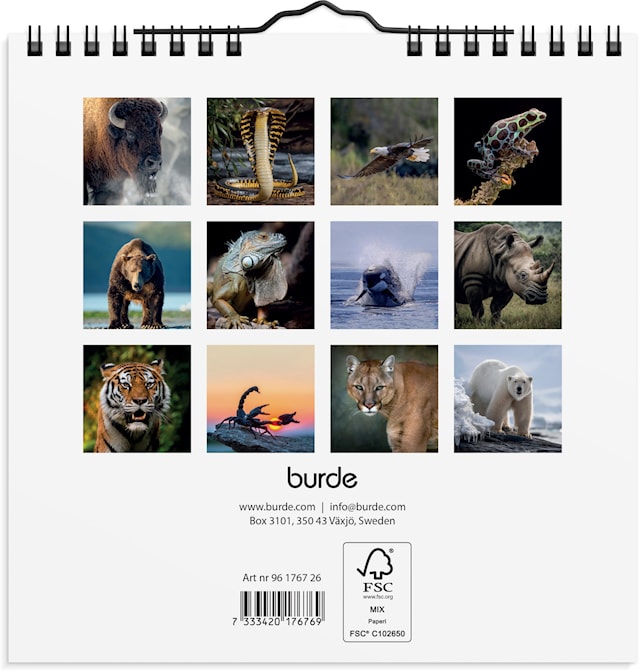 Tuotekuva 3 - Seinäkalenteri 2026 Wild animals 160x160 mm Burde