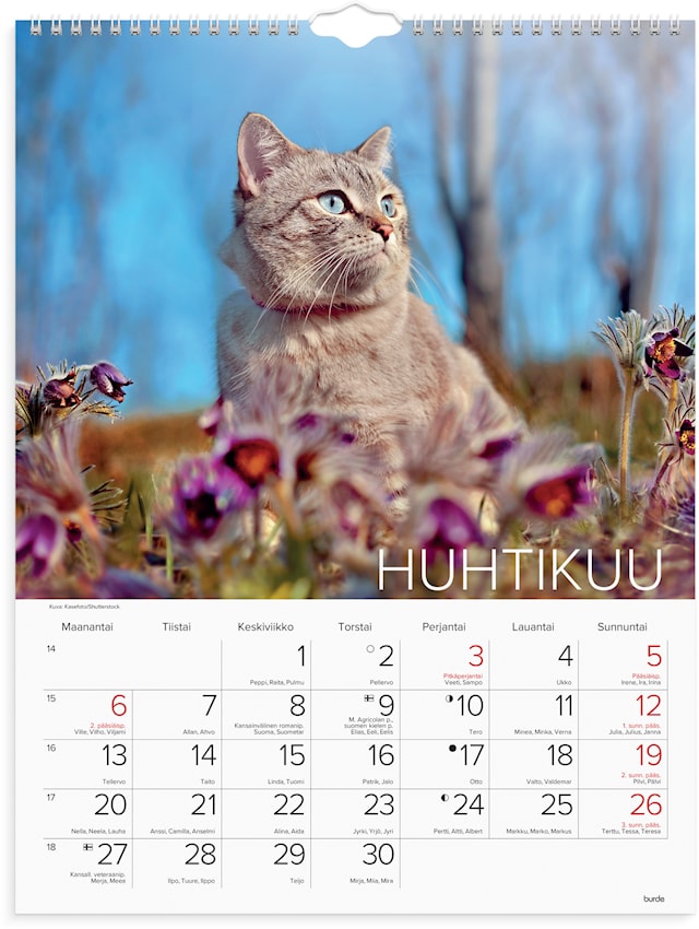Tuotekuva 3 - Seinäkalenteri 2026 Kissat 295x390 mm Burde