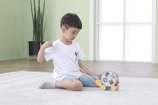 Produktbilde 2 for Pinnsvin Draglekeyøy med Sortering Viga