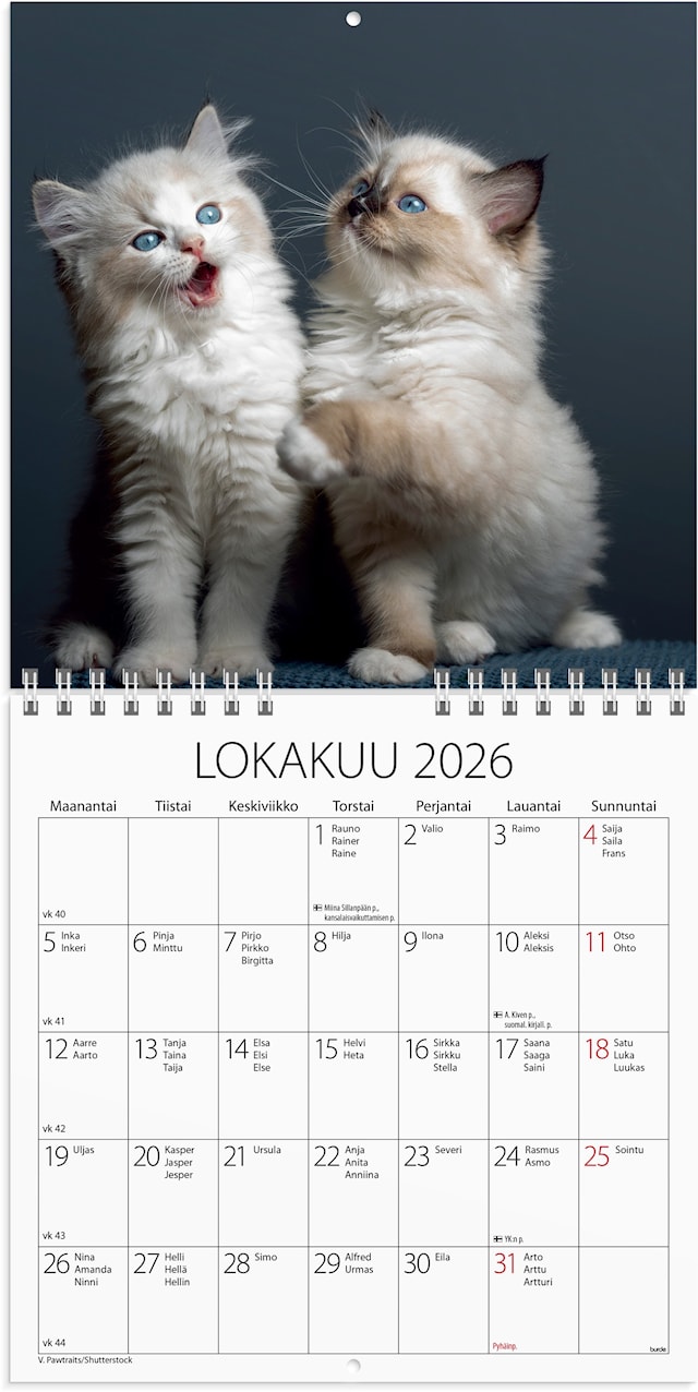 Tuotekuva 2 - Seinäkalenteri 2026 Kissanpennut 160x160 mm Burde