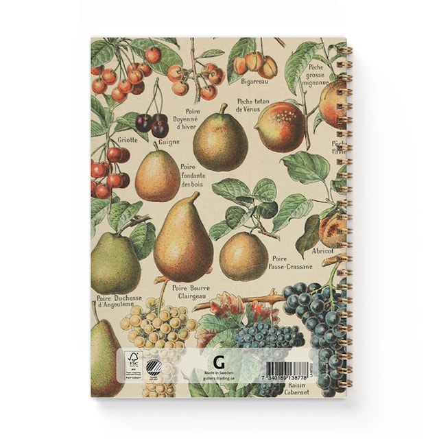 Tuotekuva 3 - Muistikirja A5 Vintage Hedelmät