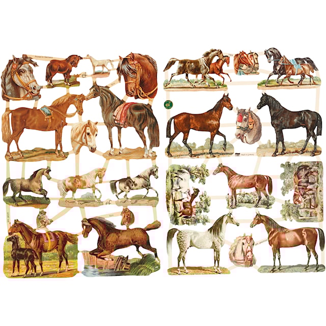 Produktbilde 1 for Glansbilder, hester, ark 16,5x23,5 cm, 2 ark/ 1 pk.