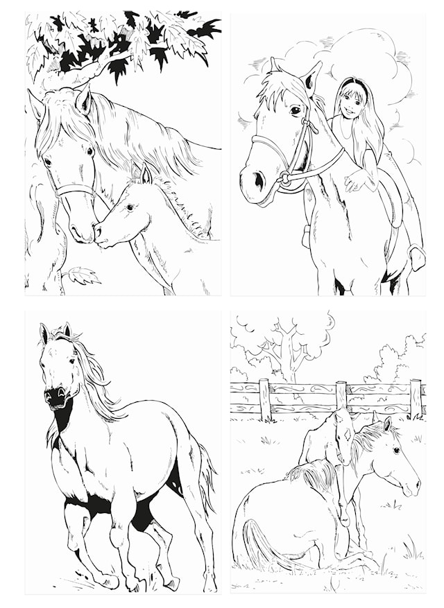 Tuotekuva 2 - Värityskirja Hevoset Sense