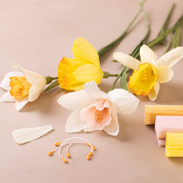 Produktbild 5 för DIY Kit Skapa Bukett i Kräppapper Creativ Company