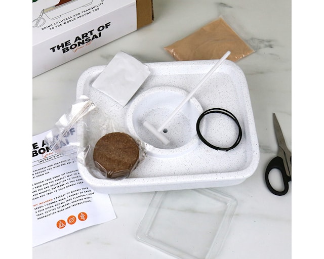 Produktbild 4 för Odlingskit The Art of Bonsai