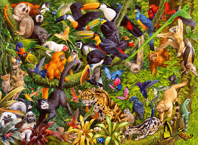 Produktbilde 2 for Tropical Rainforest Puslespill 200 brikker Ravensburger