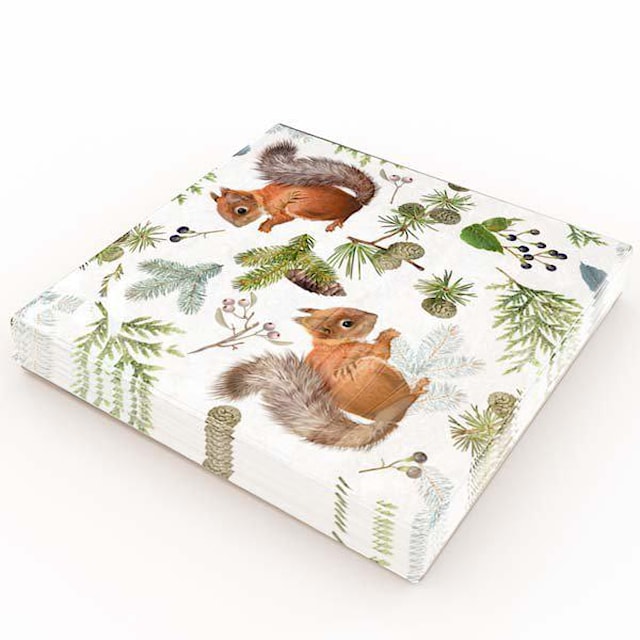 Tuotekuva 2 - Ruokalaput Orava 20-pack Gullers