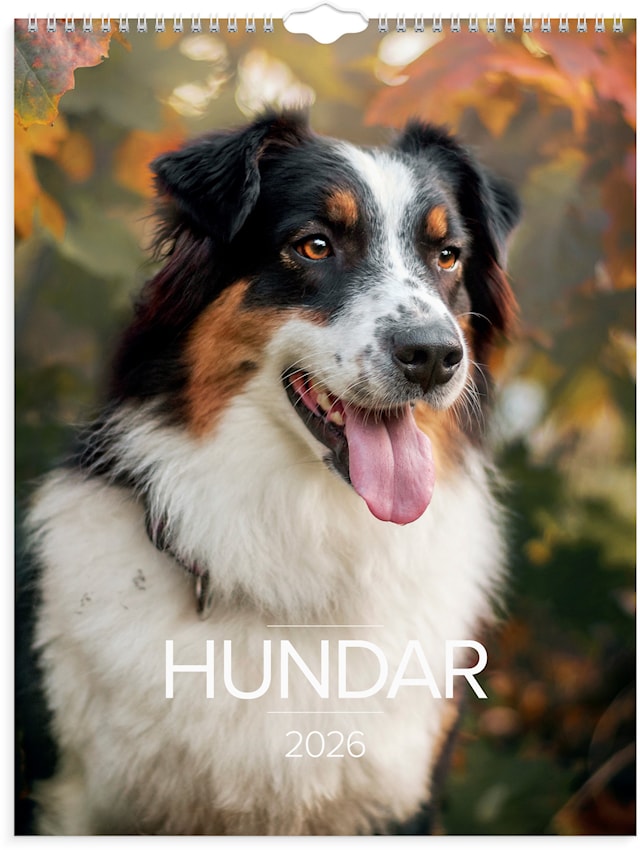 Produktbilde 1 for Väggkalender 2026 Stora Hundkalendern 295x390 mm Burde