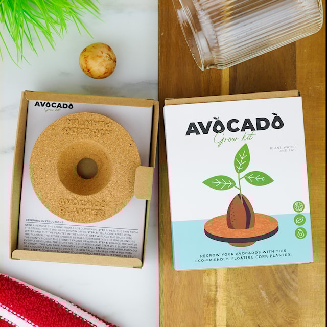 Tuotekuva 3 - Kasvatussarja Avocado, Gift Republic Ltd.