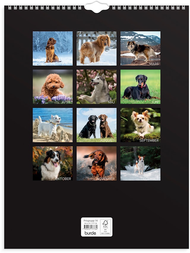 Produktbilde 3 for Väggkalender 2026 Stora Hundkalendern 295x390 mm Burde
