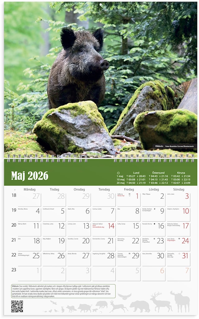 Tuotekuva 2 - Väggkalender 2026 Jaktkalender 300x240 mm Burde