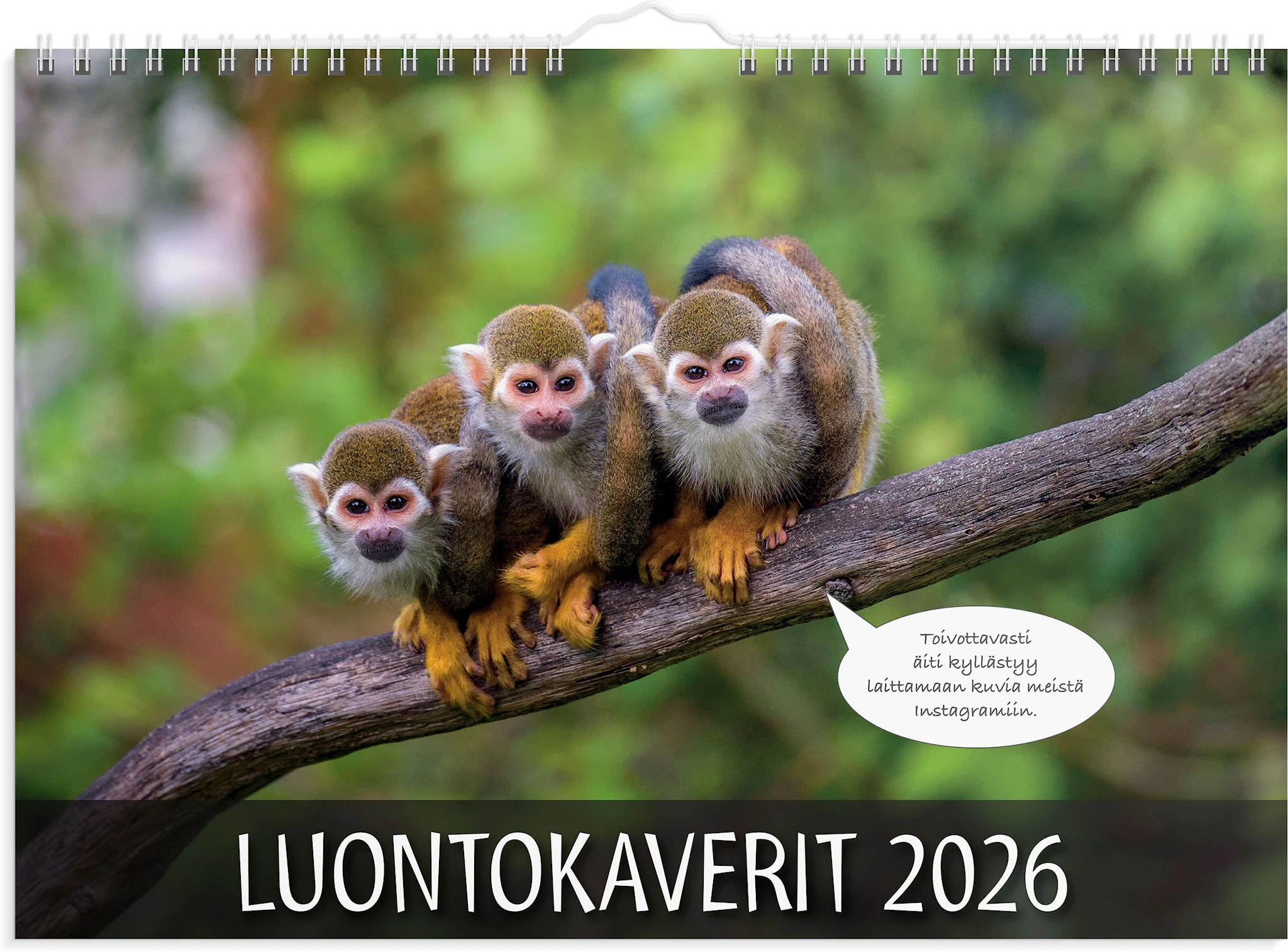 Tuotekuva ille Seinäkalenteri 2026 Luontokaverit 250x176 mm Burde