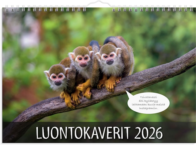 Produktbild 1 för Seinäkalenteri 2026 Luontokaverit 250x176 mm Burde