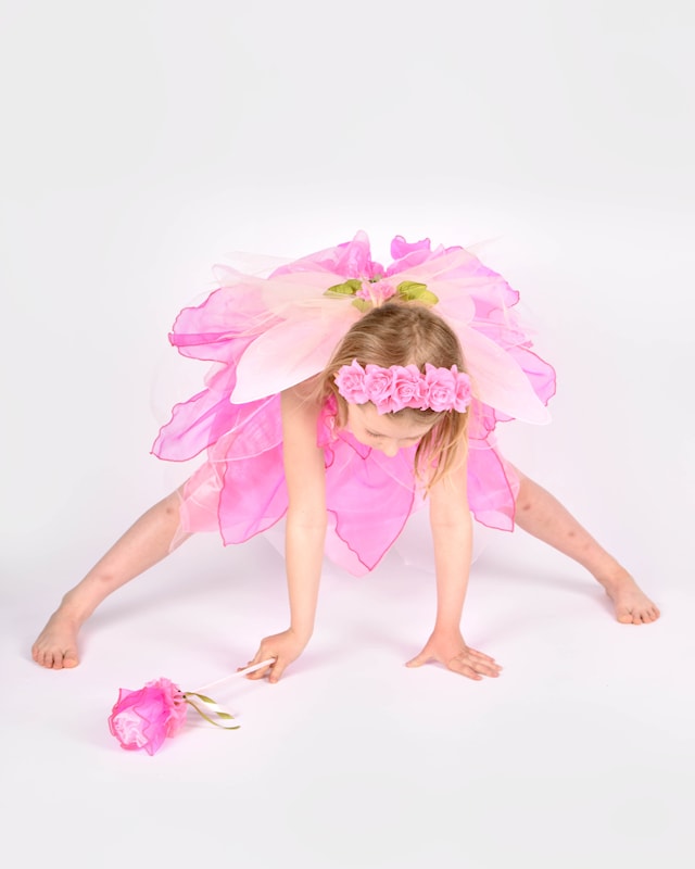 Produktbild 2 för Älvklänning, vingar och stav 110-116 cl Den goda fen