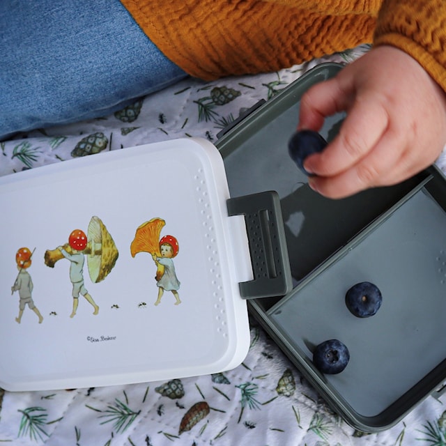 Produktbild 3 för Elsa Beskow Tomtebobarnen Lunchlåda Rätt Start
