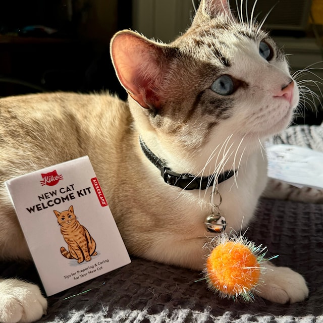 Tuotekuva 1 - Welcome Cat Tin Kiko