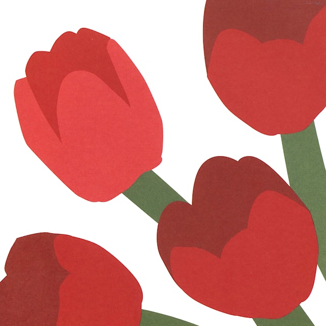 Produktbilde 2 for POP-UP KORT Tulipaner2 TOTANGO