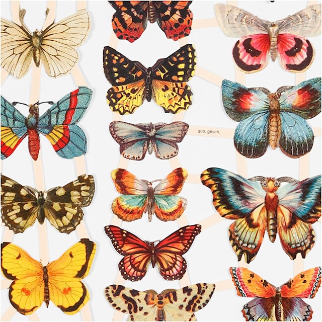 Produktbilde 3 for Glansbilder, sommerfugler, ark 16,5x23,5 cm, 2 ark/ 1 pk.