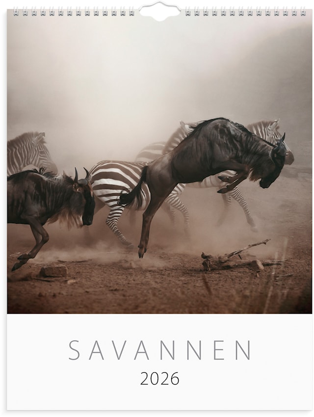Tuotekuva 1 - Väggkalender 2026 Savannen 295x390 mm Burde