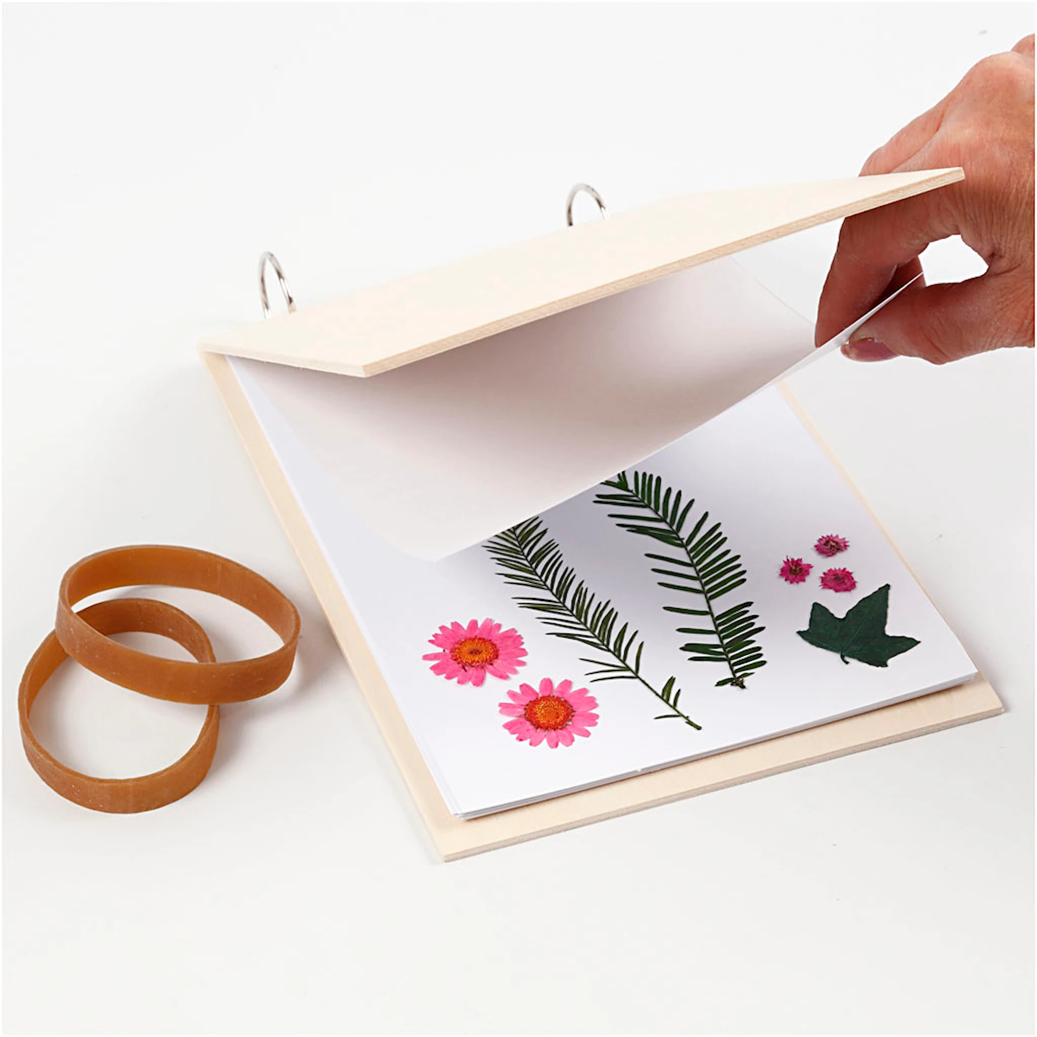 Produktbilde for Blomsterpresser, D: 1 cm, L: 21 cm, B: 14,8 cm, 1 stk.