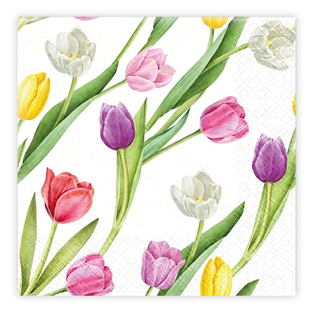 Produktbild 1 för Kaffeservett Tulpaner mixade 20-pack Ivars i Lanna