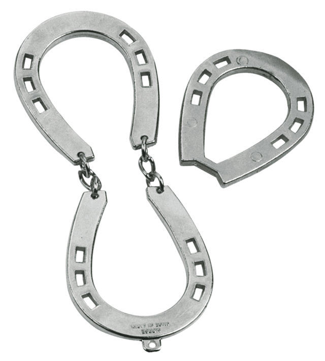 Produktbilde 3 for Huzzle Cast Hjernetrim nivå 2: Horse