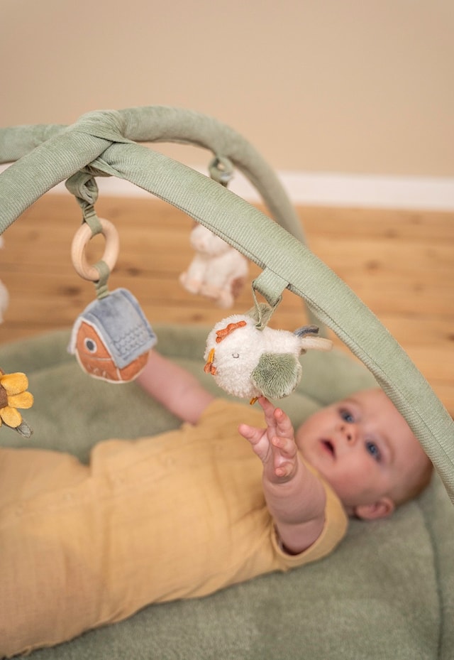 Produktbild 7 för Little Farm Babygym Little Dutch