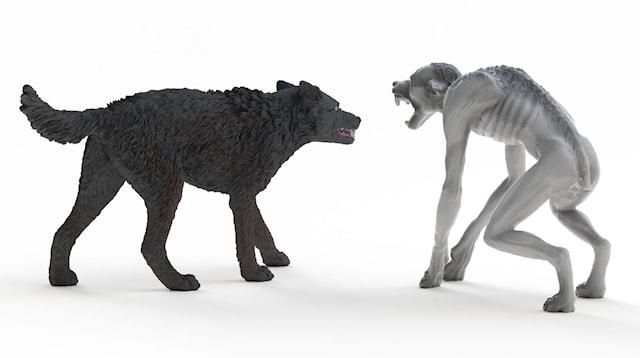 Produktbild 6 för Wizarding World Werewolf och Animagus Schleich