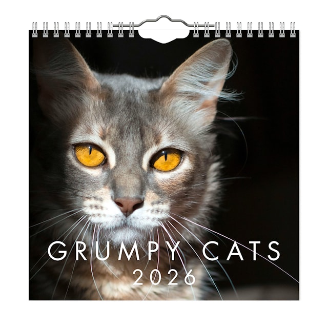 Produktbild 1 för Väggkalender Grumpy Cats Mini 2026