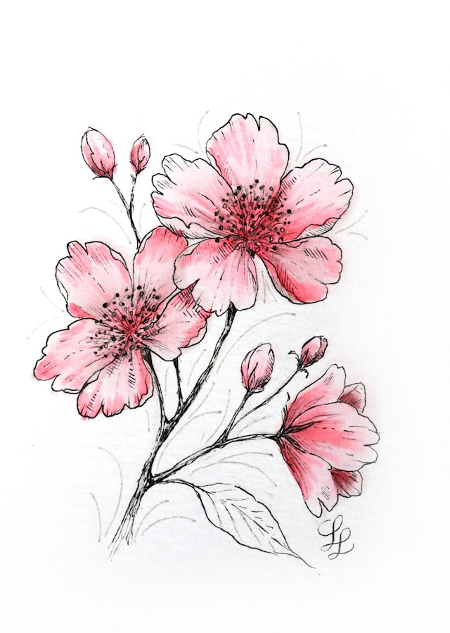 Tuotekuva 2 - Alkuperäinen setti Sakura Creative Art Kit Kirsikankukka