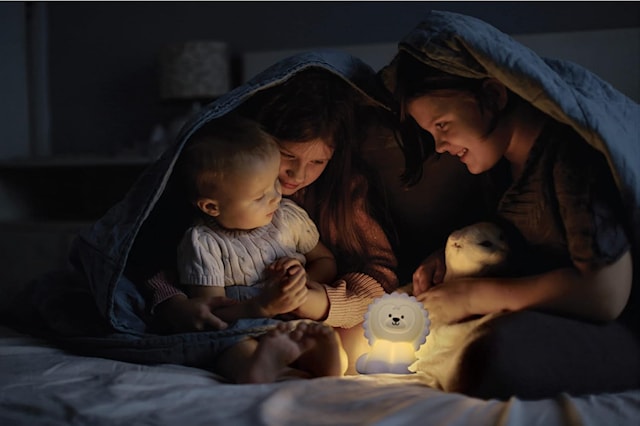 Tuotekuva 4 - Leijona Yölamppu NITELITE