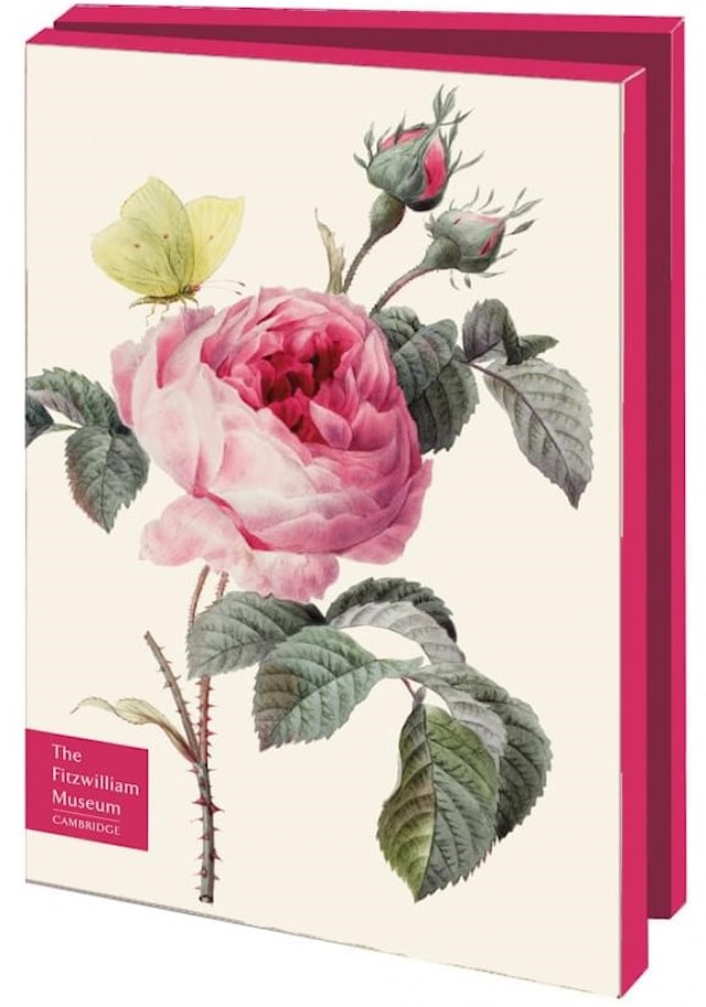 Produktbilde 1 for Vykort Dobbelt med konvolutt Roser i blomst 10-pack Bekking & Blitz