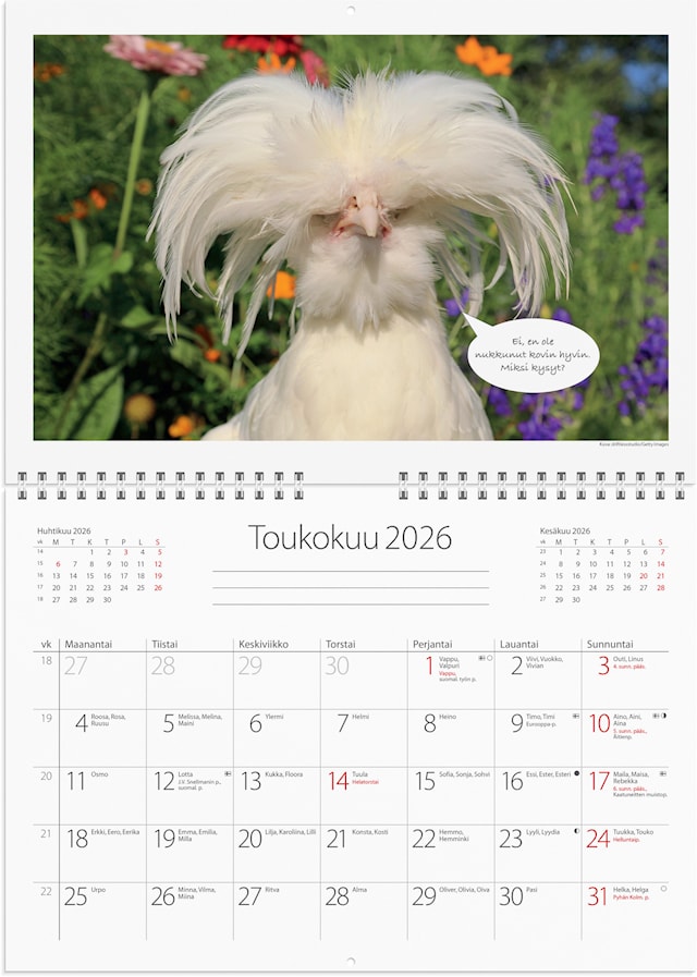 Produktbild 2 för Seinäkalenteri 2026 Luontokaverit 250x176 mm Burde
