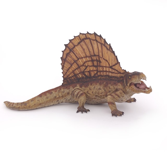 Tuotekuva 3 - Dimetrodon PAPO