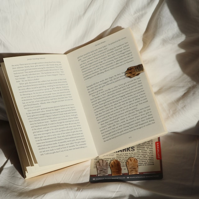 Tuotekuva 3 - Kirjanmerkit Kissanjäljet Magneettiset Kikkerland