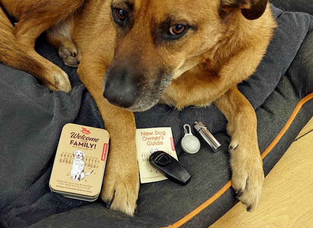 Tuotekuva 2 - Welcome To The Family Dog Kit Kikkerland