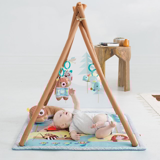 Produktbild 1 för Babygym Camping Cubs, Skip Hop