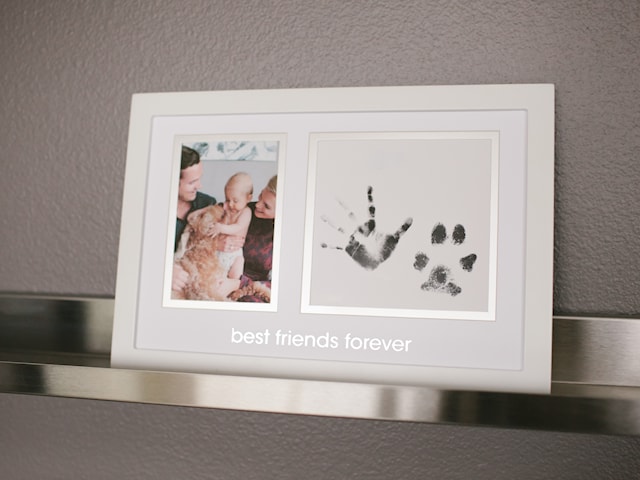 Produktbilde 5 for Best Friends Forever Ram Vit Pearhead