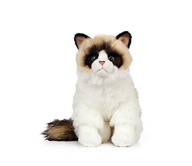 Ragdoll kissa 25 cm Living Nature