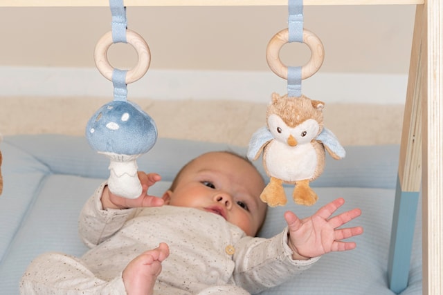 Produktbilde 5 for Forest Friends Babygym Little Dutch