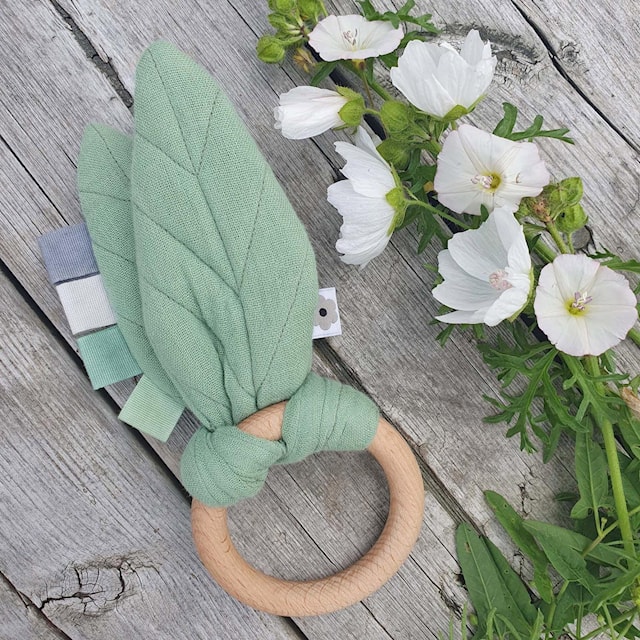 Produktbilde 2 for Rasleleke Grønn Eko Summerville