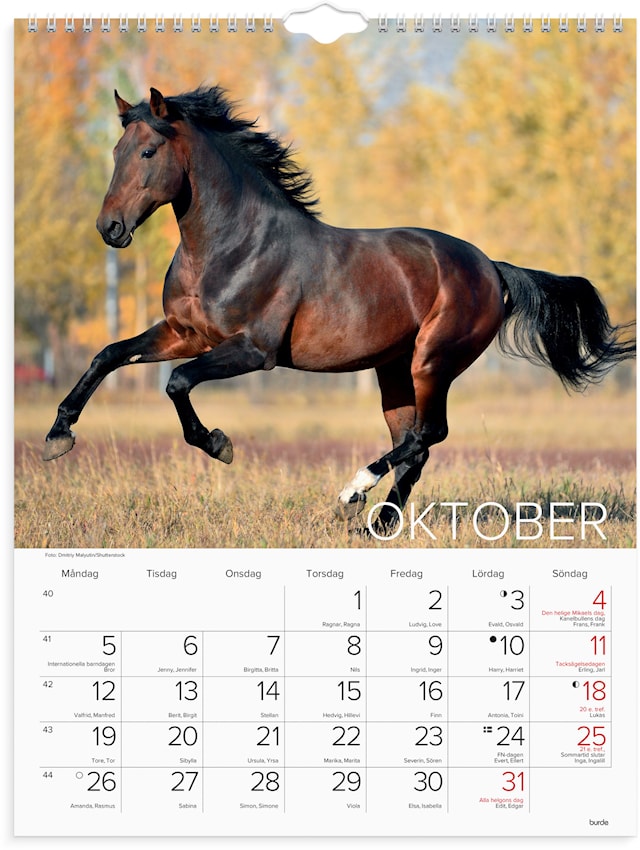 Produktbilde 2 for Väggkalender 2026 Stora Hästkalendern 295x390 mm Burde