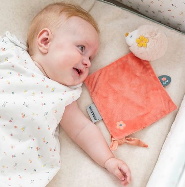 Produktbild 2 för Snuttefilt Igelkotten Zoe Mini Nattou