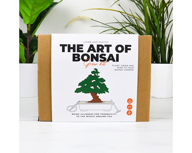Produktbild 5 för Odlingskit The Art of Bonsai