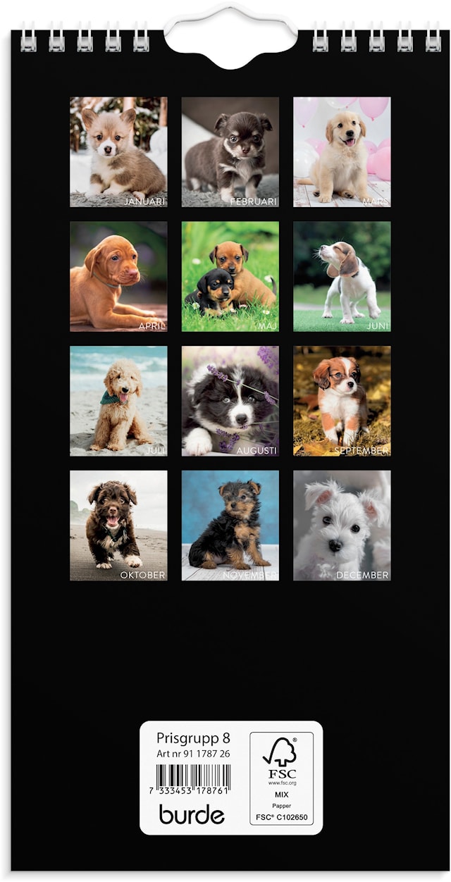 Produktbilde 3 for Väggkalender 2026 Liten Hundkalender 120x230 mm Burde